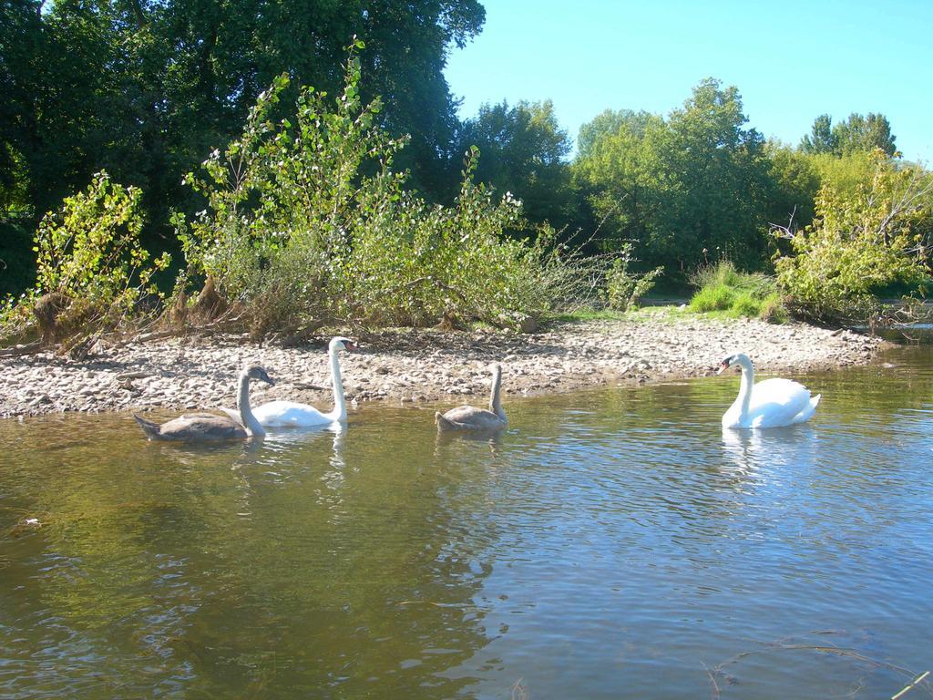 Moulin Des Sandaux Сент-Фуа-ла-Гранд Екстер'єр фото